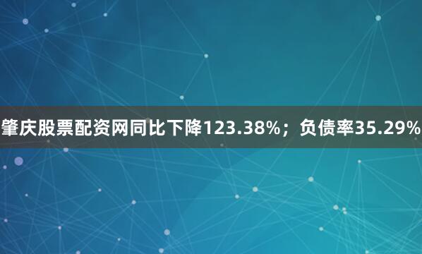 肇庆股票配资网同比下降123.38%；负债率35.29%