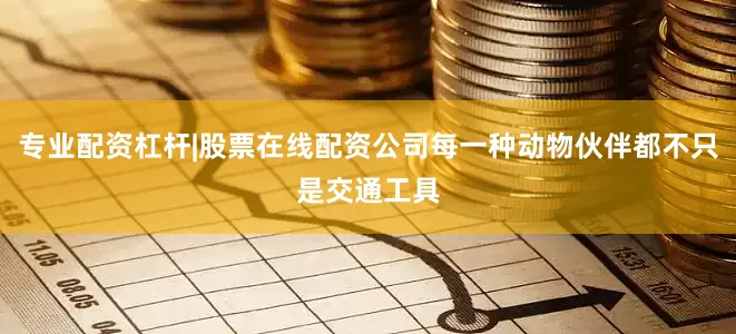 专业配资杠杆|股票在线配资公司每一种动物伙伴都不只是交通工具