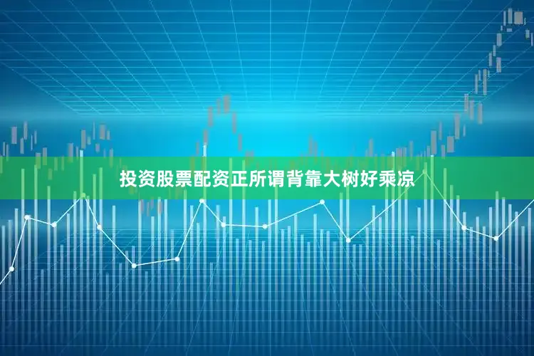 投资股票配资正所谓背靠大树好乘凉